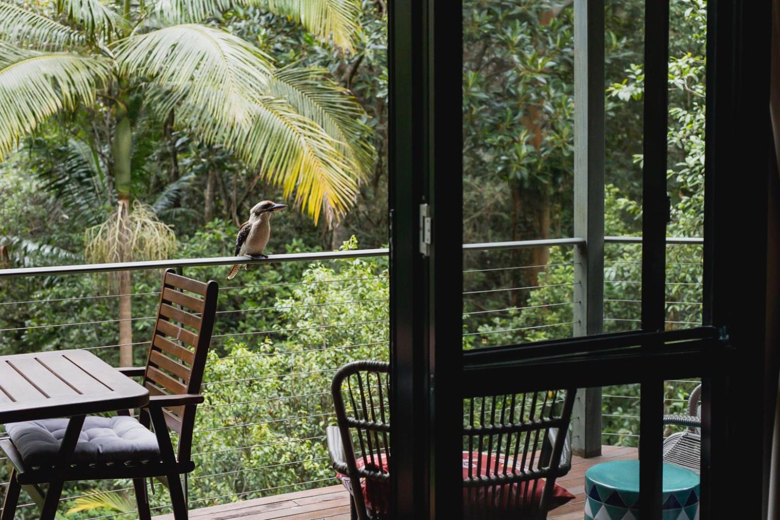 Kondalilla Eco Resort Montville Ngoại thất bức ảnh