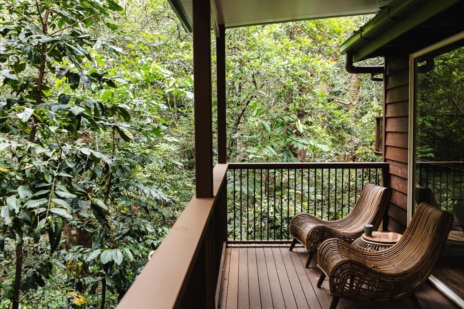 Kondalilla Eco Resort Montville Ngoại thất bức ảnh