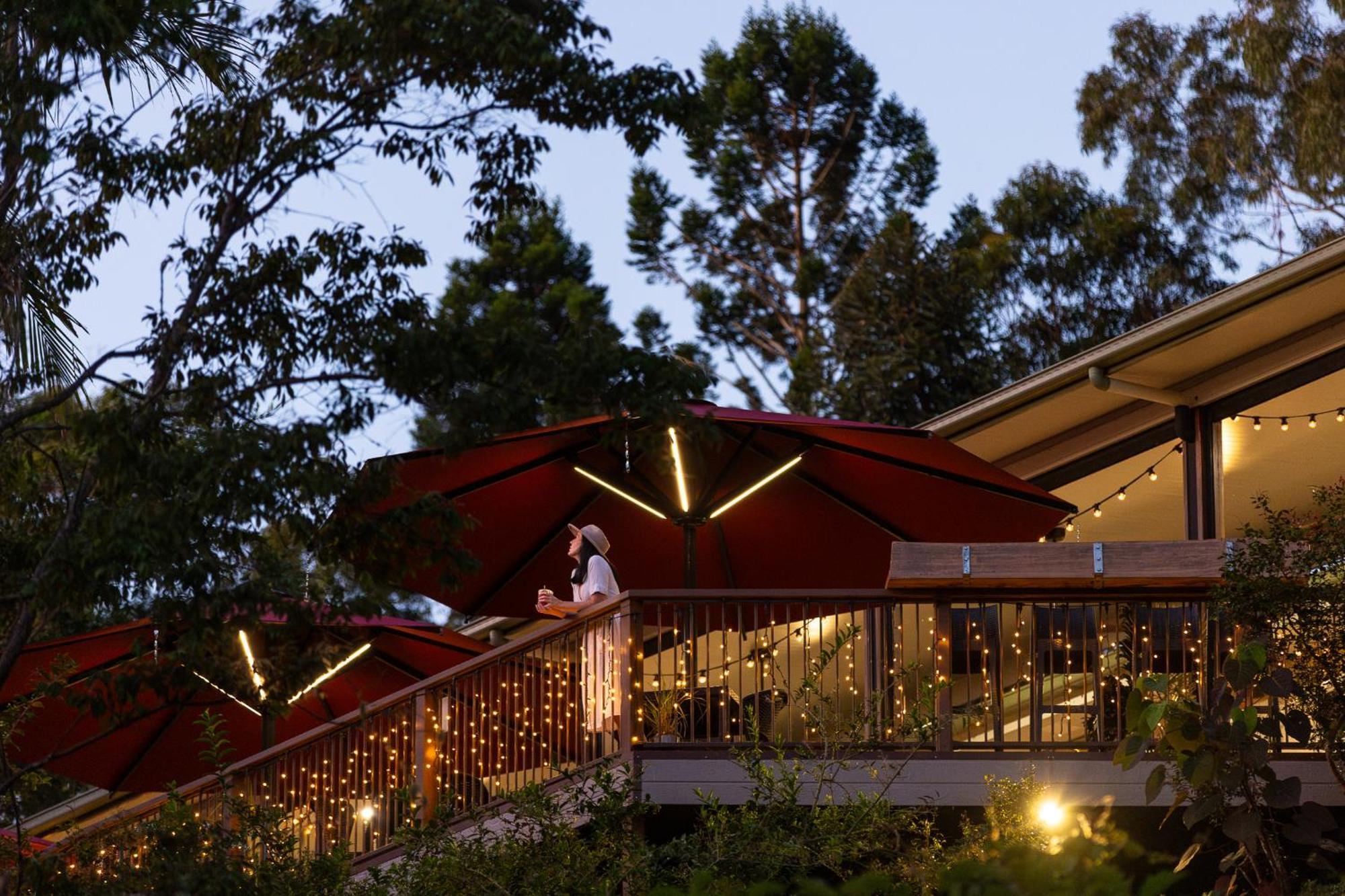 Kondalilla Eco Resort Montville Ngoại thất bức ảnh