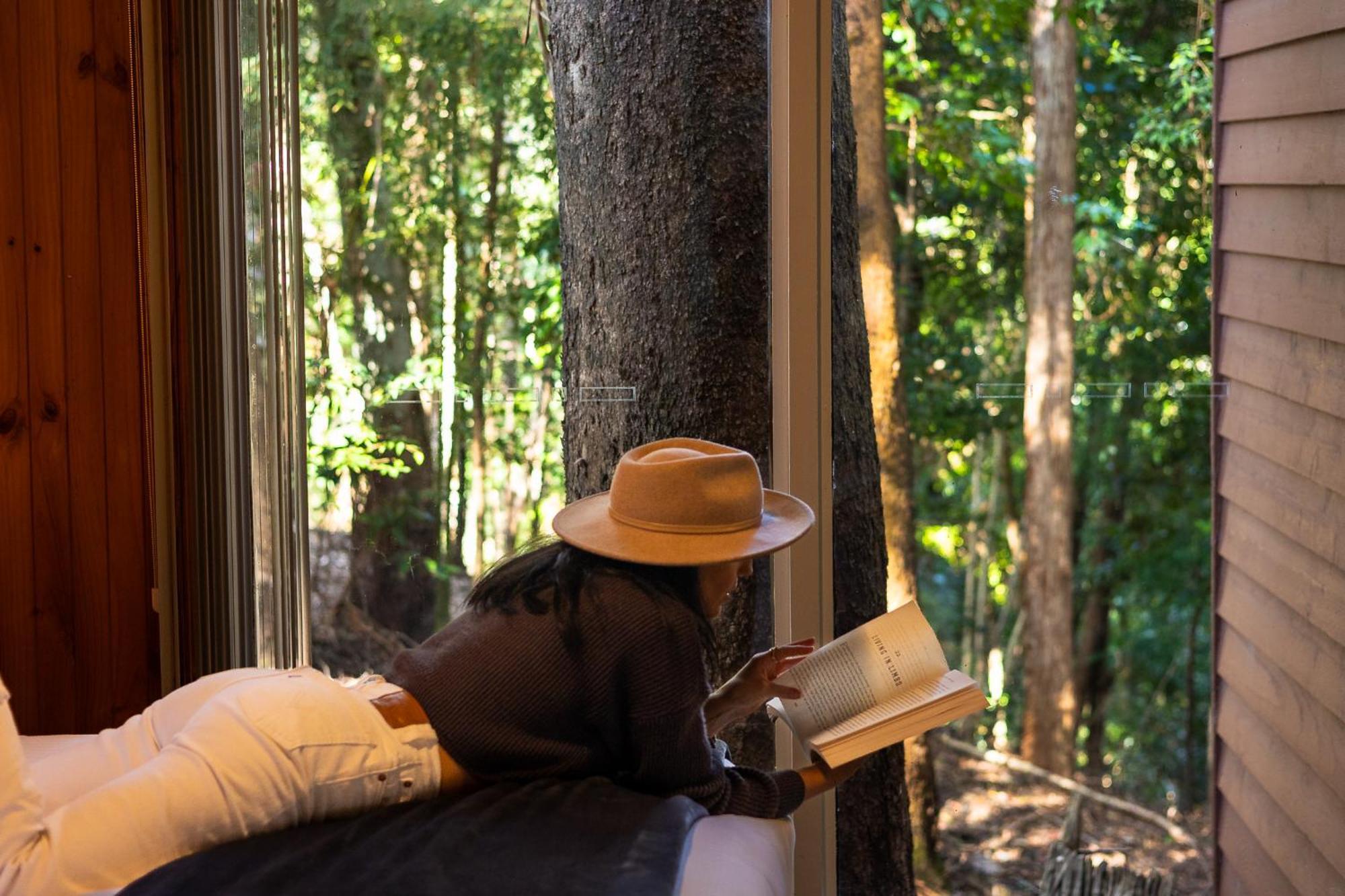 Kondalilla Eco Resort Montville Ngoại thất bức ảnh